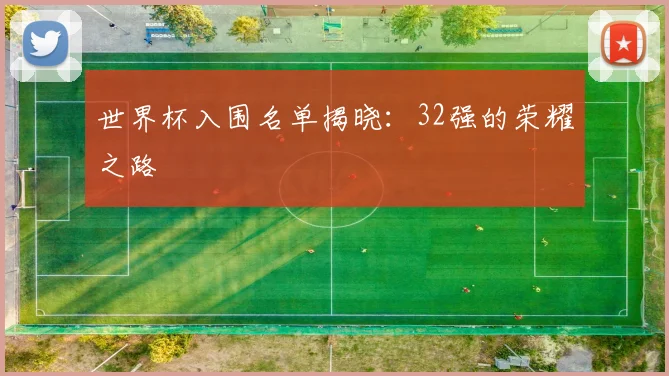 世界杯入围名单揭晓：32强的荣耀之路