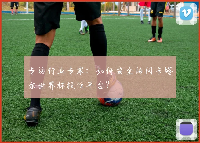 专访行业专家:如何安全访问卡塔尔世界杯投注平台?