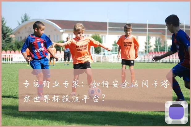 专访行业专家:如何安全访问卡塔尔世界杯投注平台?