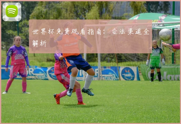 世界杯免费观看指南：合法渠道全解析