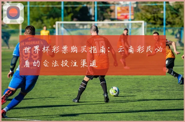 世界杯彩票购买指南：云南彩民必看的合法投注渠道