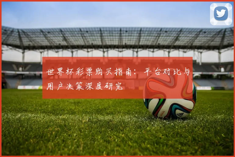 世界杯彩票购买指南：平台对比与用户决策深度研究