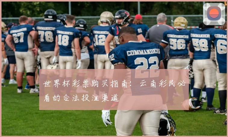 世界杯彩票购买指南：云南彩民必看的合法投注渠道